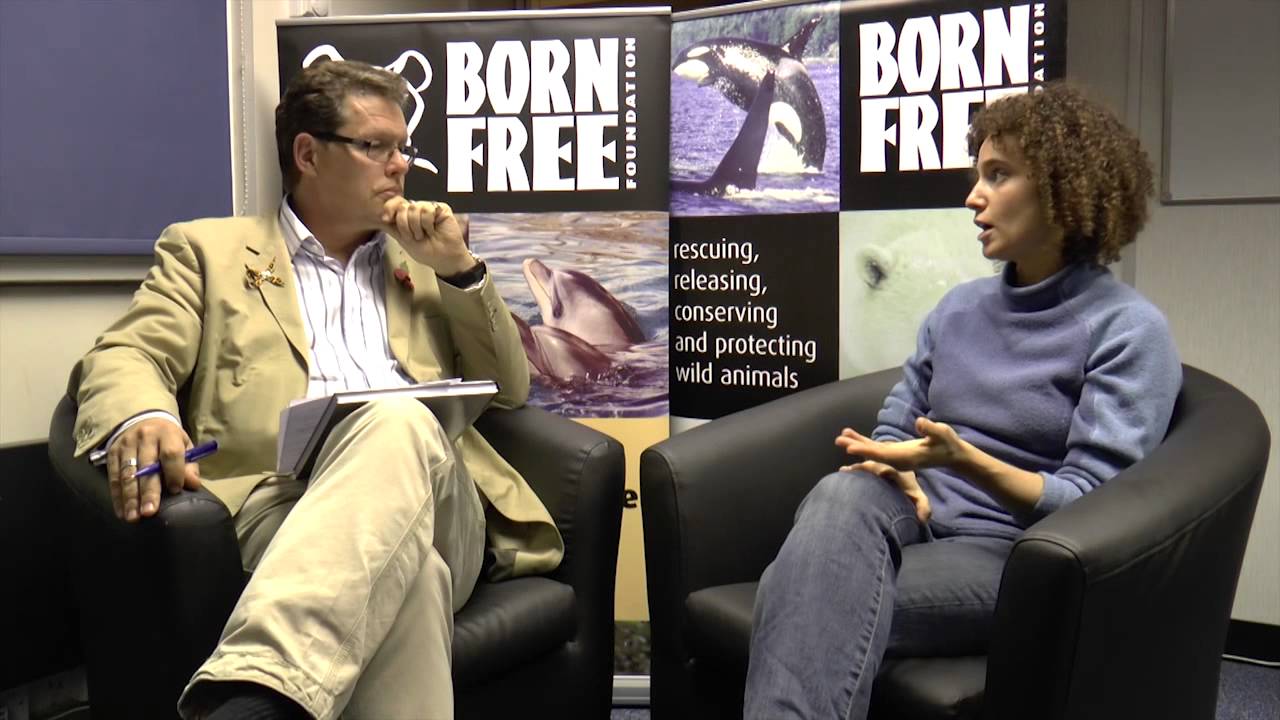 Blackfish: Will Travers, OBE interviews former dolphin trainer Sam Berg