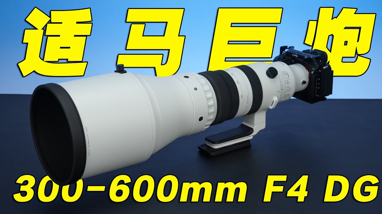 适马巨炮300-600mm F4 DG上手体验分享 The BIGMA 300-600mm F4
