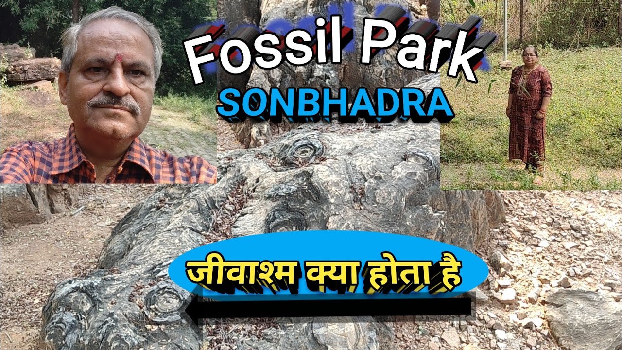 Unveiling Sonbhadra Fossils Park | 1.4 Billion Years Old Well Preserved Fossil Sites in the World 