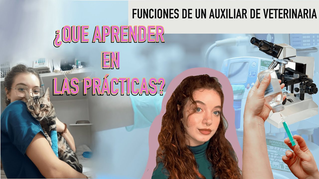 FUNCIONES DE UN AUXILIAR DE VETERINARIA | COSAS QUE APRENDER CUANDO ESTAS DE PRÁCTICAS ATV #atv