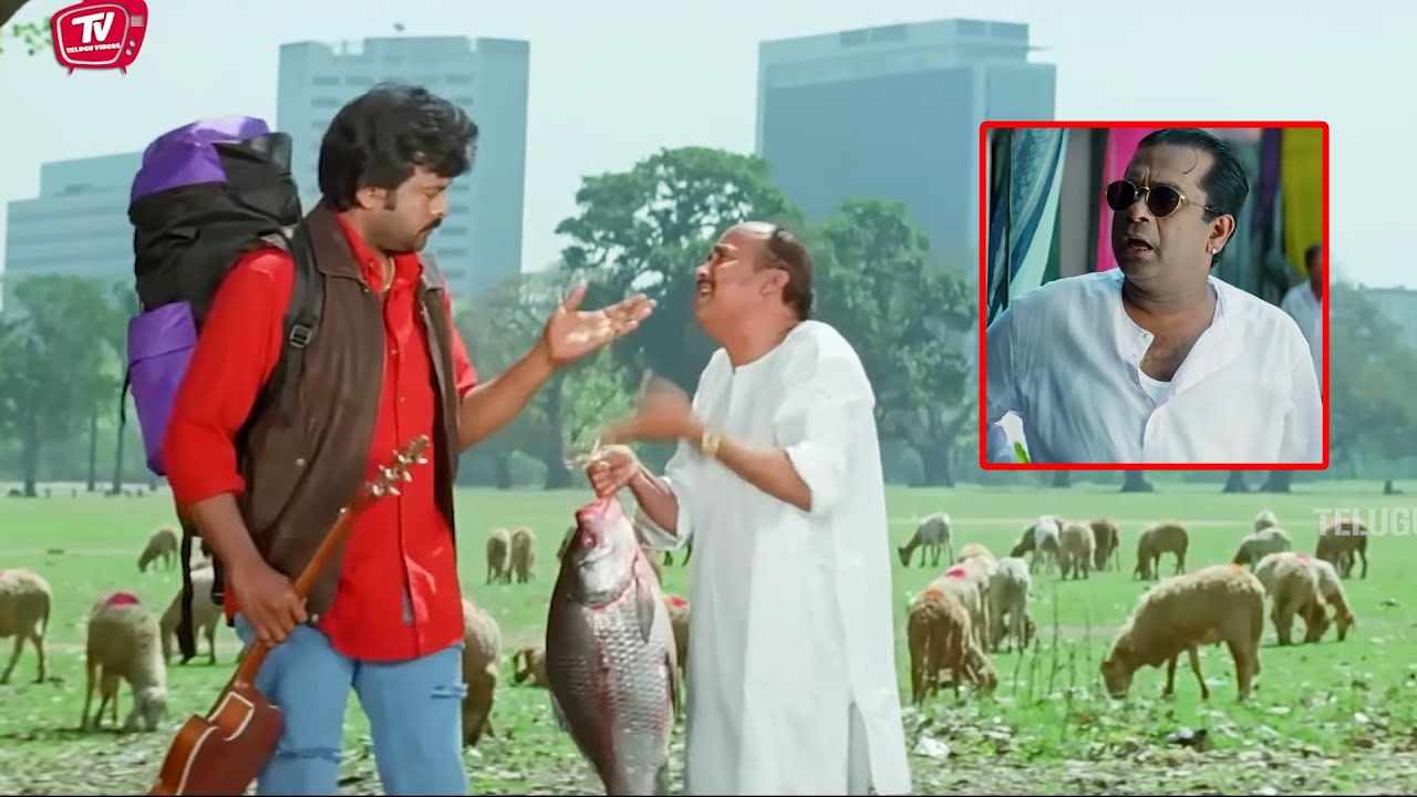 Chiranjeevi , Brahmanandam Funny Telugu Movie Scene | Telugu Comedy Scene | @TeluguVideoZ