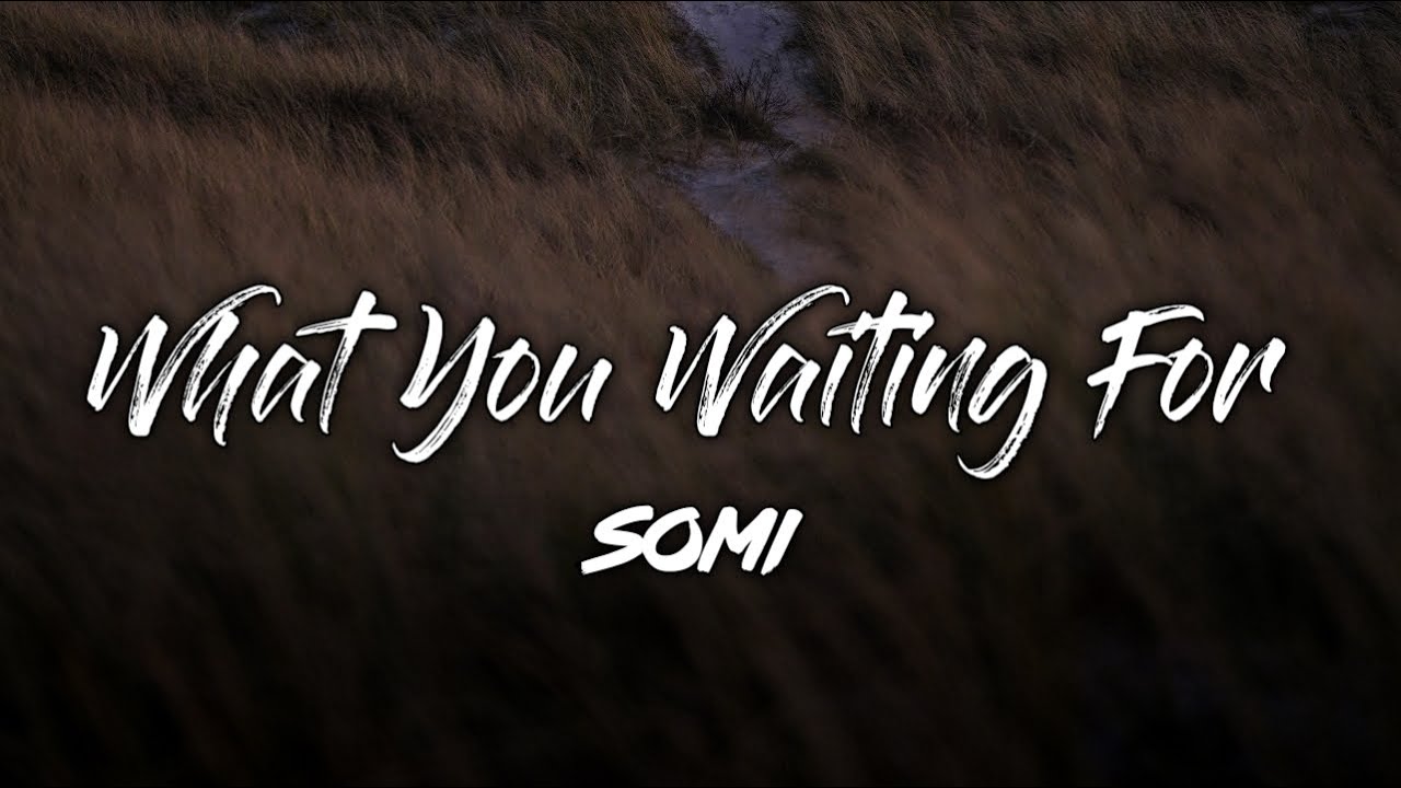 SOMI - What You Waiting For KARAOKE Instrumental With Lyrics