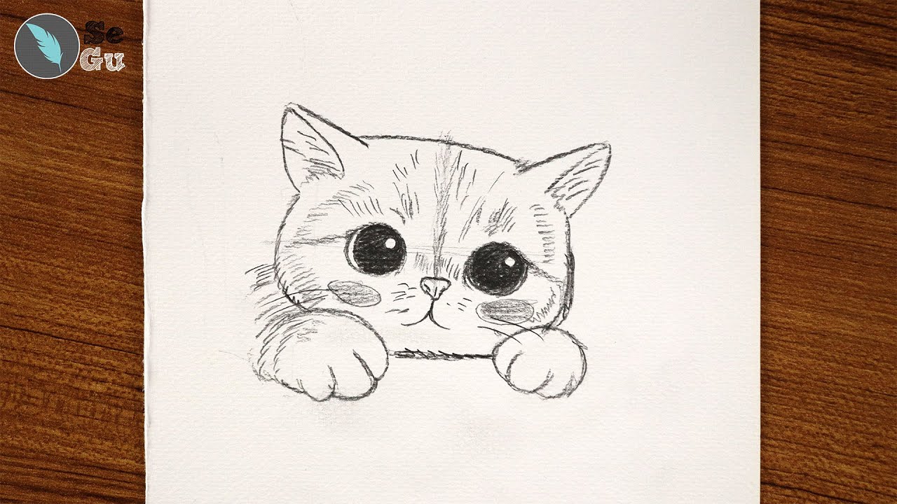 How to Draw Cute Cat Easy Step by Step Pencil Drawing