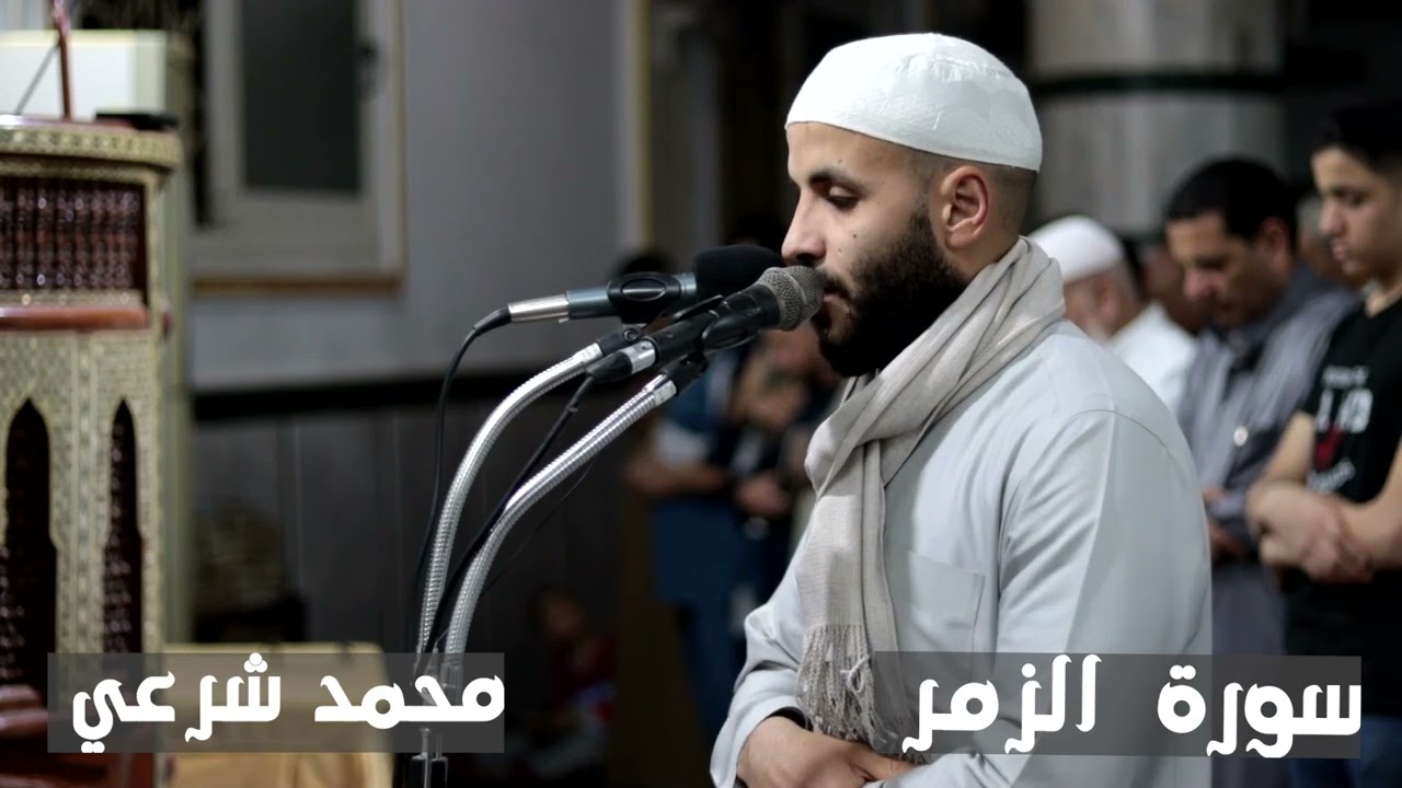 تلاوة هادئة لسورة الزمر للقارئ محمد شرعي.