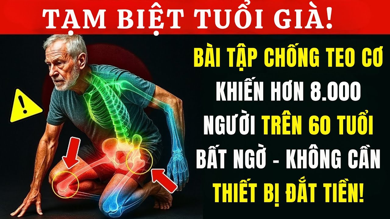 Công Bố Mới: Bài Tập Giúp Người 65 Tuổi Tái Tạo Cơ Bắp Tự Nhiên, Giảm Nguy Cơ Té Ngã 58%