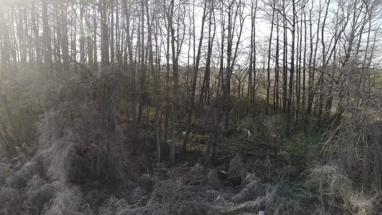 Pawł&oacute;w Trzebnicki  04.04.2021