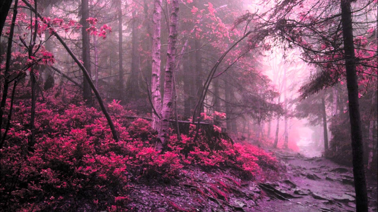 Richard Wagner -Rienzi- Overture