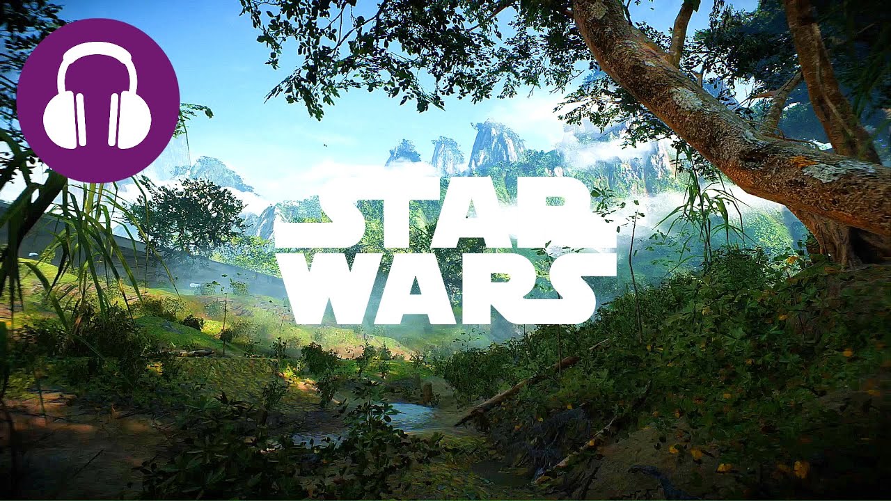 Falling Asleep On Kashyyyk 💤 Relaxing STAR WARS Ambience & JUNGLE SOUNDS
