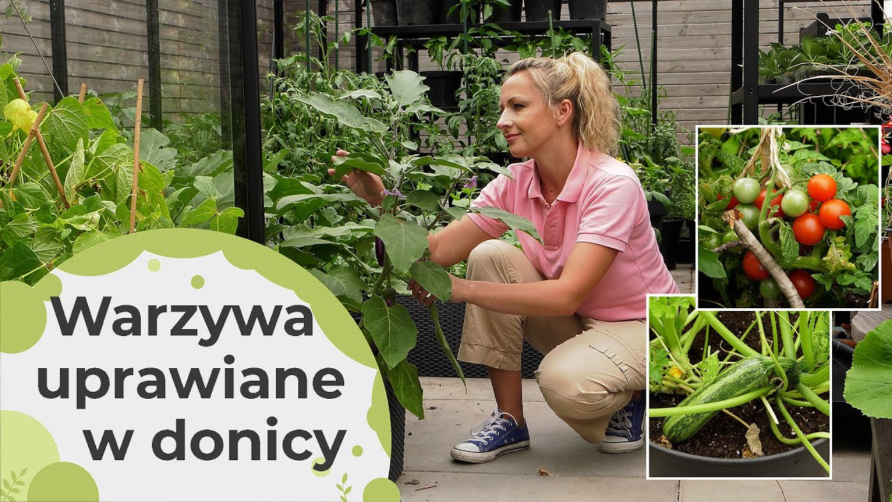 Uprawa warzyw w donicach na balkonie i tarasie. Jakie warzywa warto uprawiać w pojemnikach?
