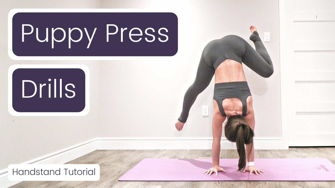 Puppy Press Handstand Drills
