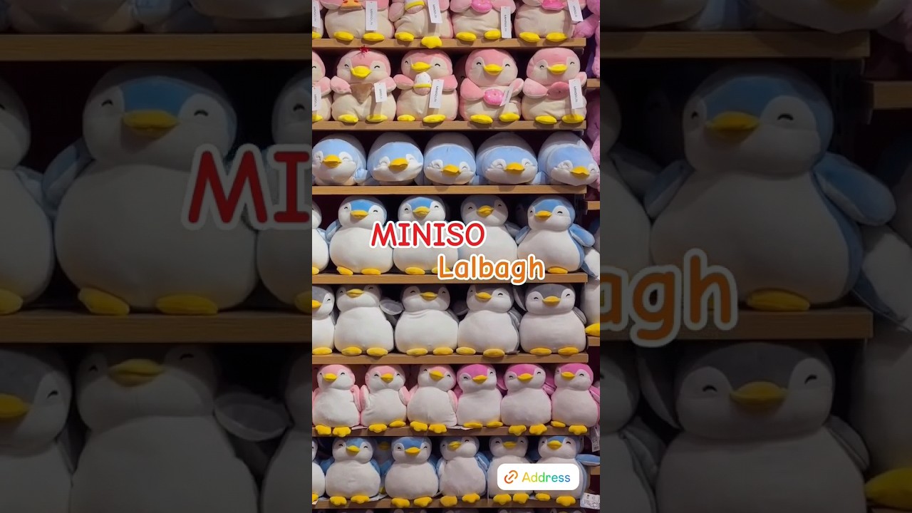 Something New are Coming in lalbagh 😊 #aesthetic #miniso #cute