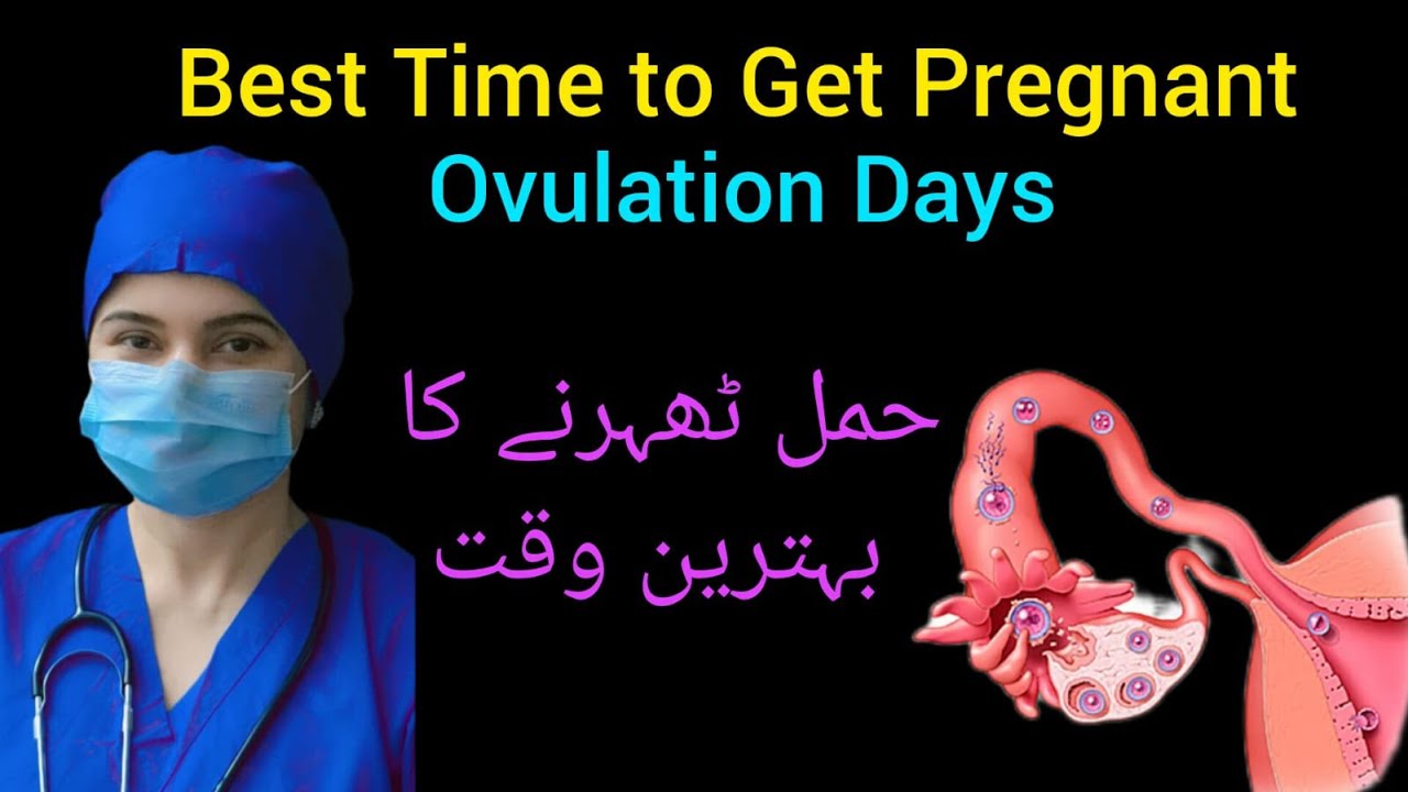 Best Time to Get Pregnant Naturally | حمل ٹھہرنے کا بہترین وقت | Ovulation Day Explained
