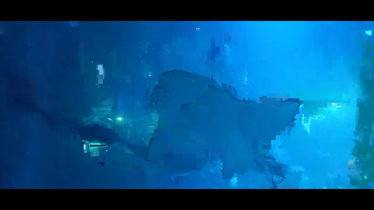 lotte world aquarium part 3