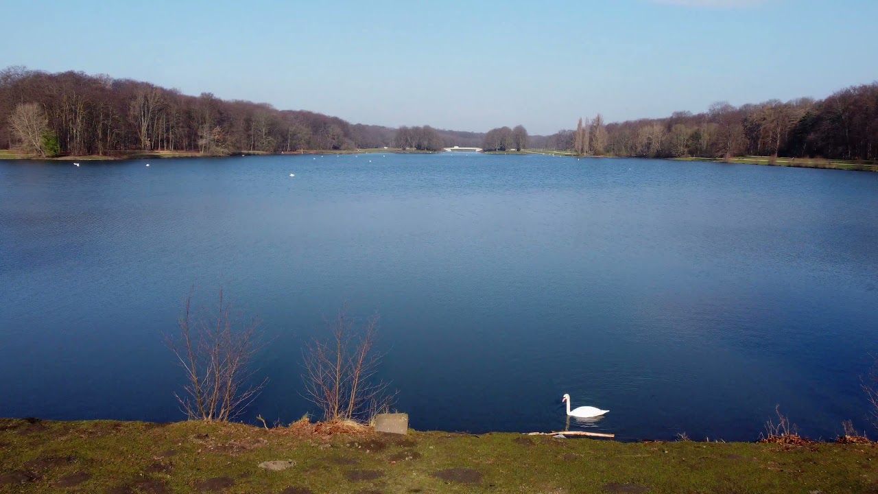 Decksteiner Weiher