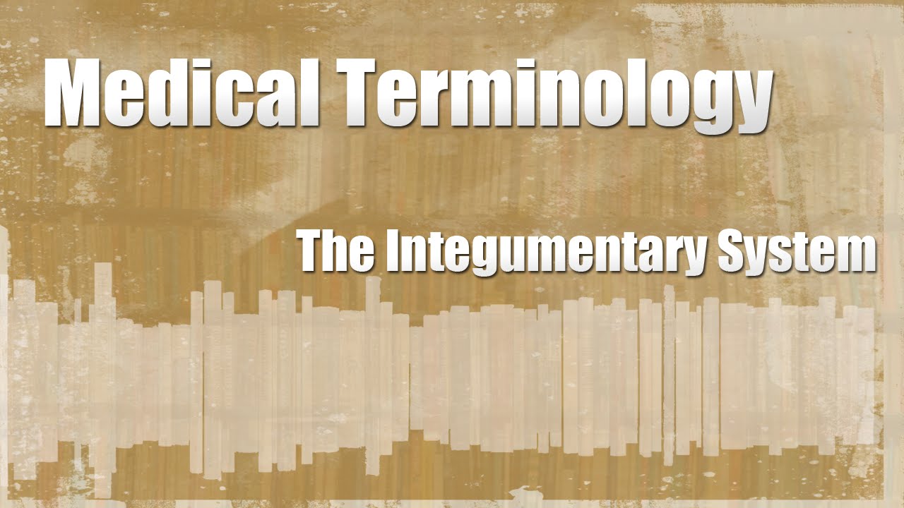 Medical Terminology of the Integumentary System