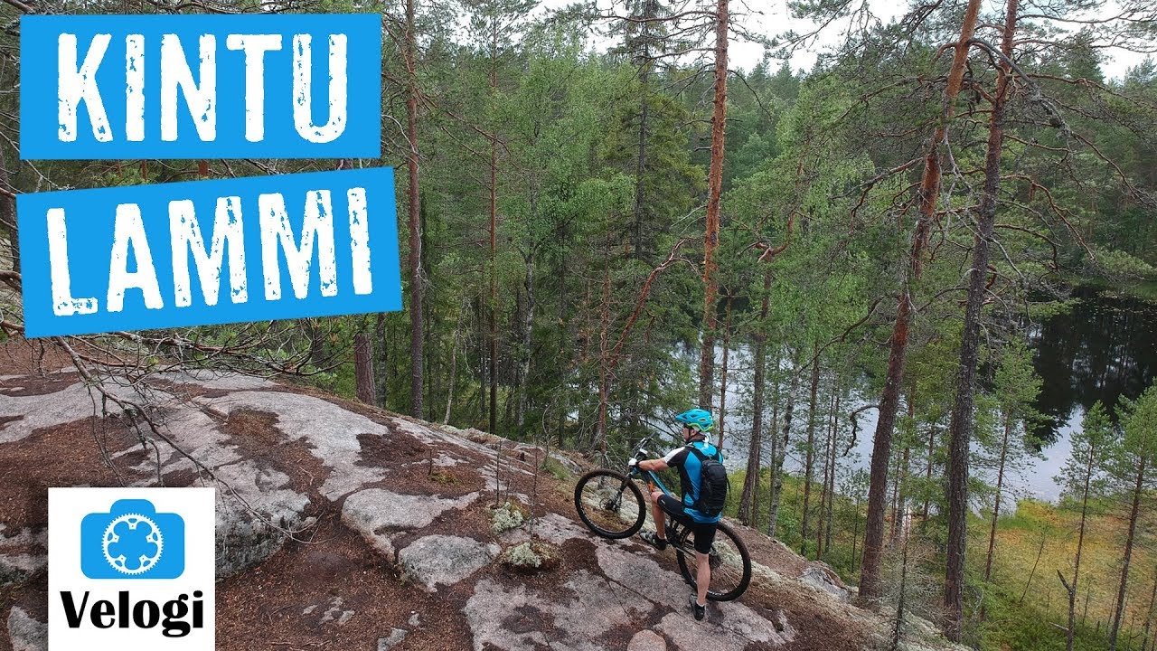 Kintulammin retkeily- ja luonnonsuojelualue, Tampere