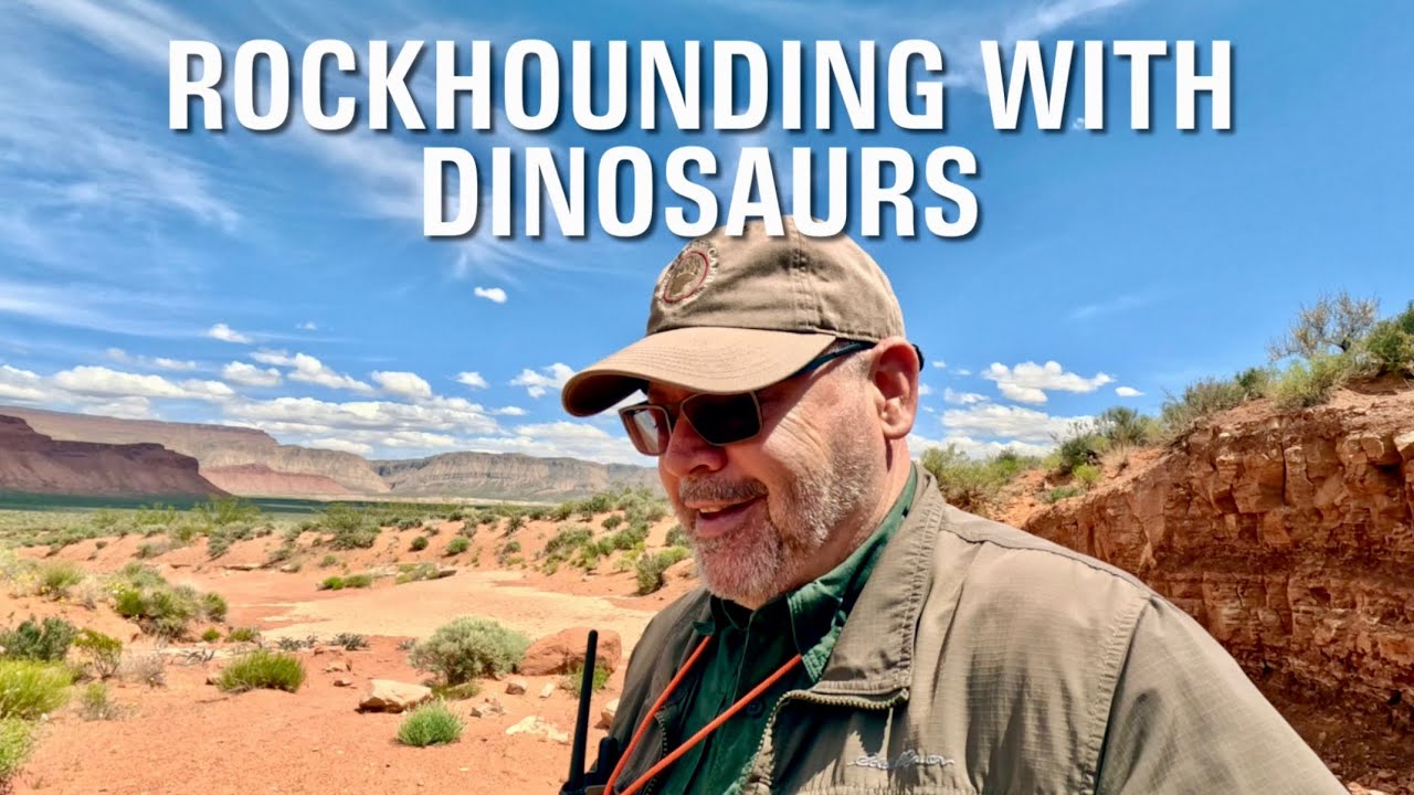 Rockhounding with Dinosaurs: Jasper, Gypsum, Petrified Wood