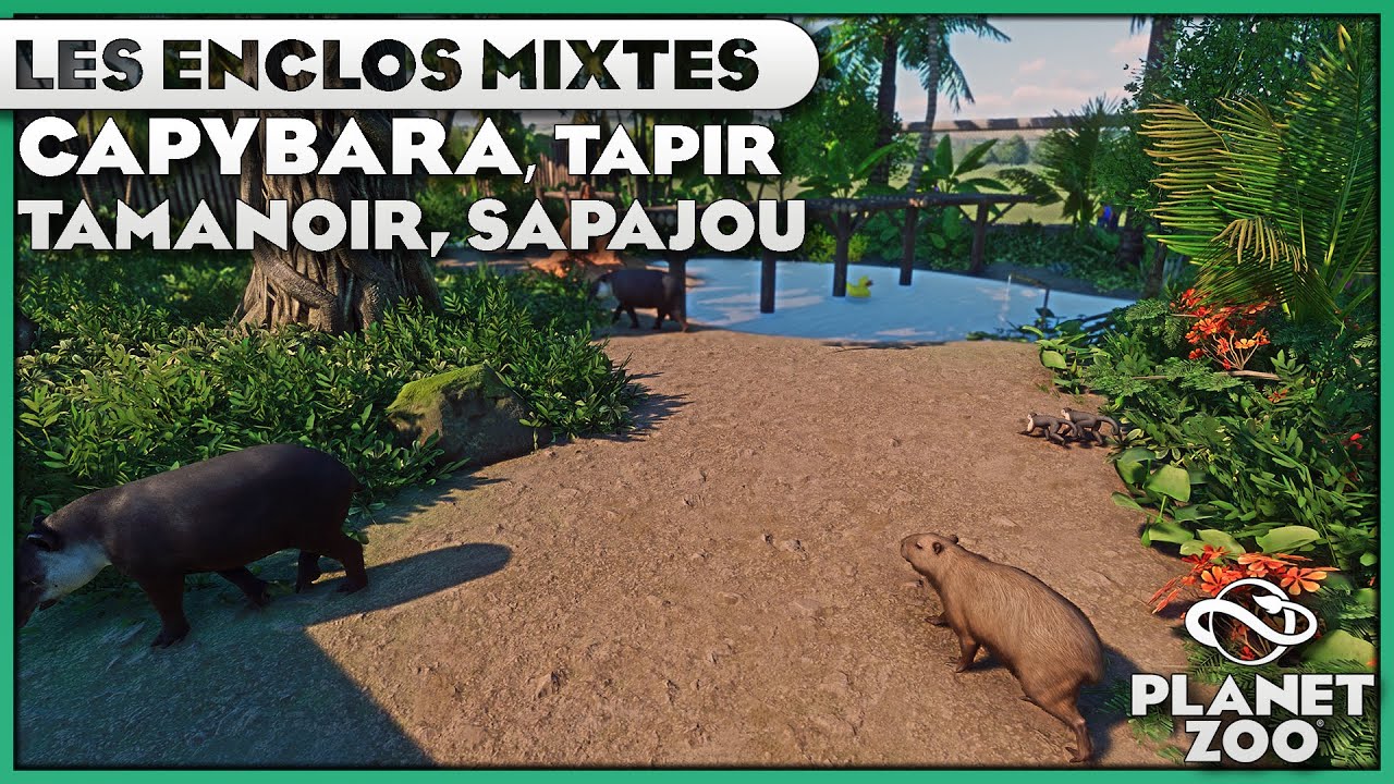 Tamanoir, Tapir de Baird, Sapajou Capucin et Capybara | LES ENCLOS MIXTES : EPISODE 6 | PLANET ZOO
