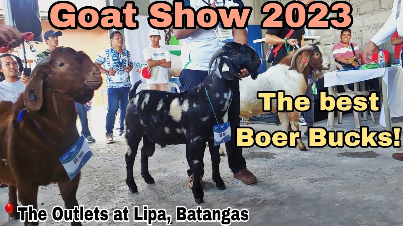 RumSol GOAT SHOW 2023 | The Outlets at Lipa
