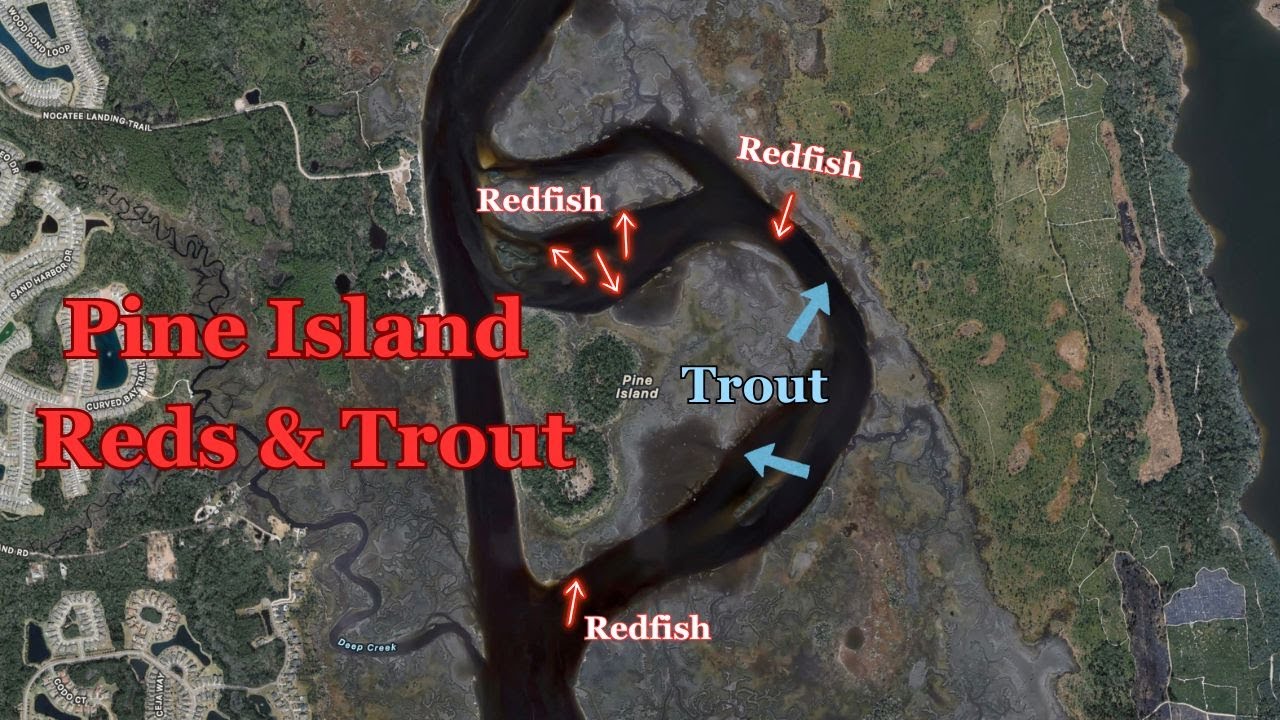 Pine Island Reds & Trout | Nocatee Kayak Launch