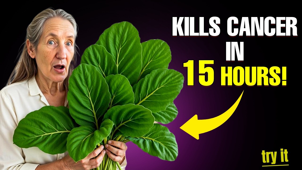 The Leaf That DESTROYS Cancer Cells&mdash;Why No One Is Talking About It | Barbara O&rsquo;Neill
