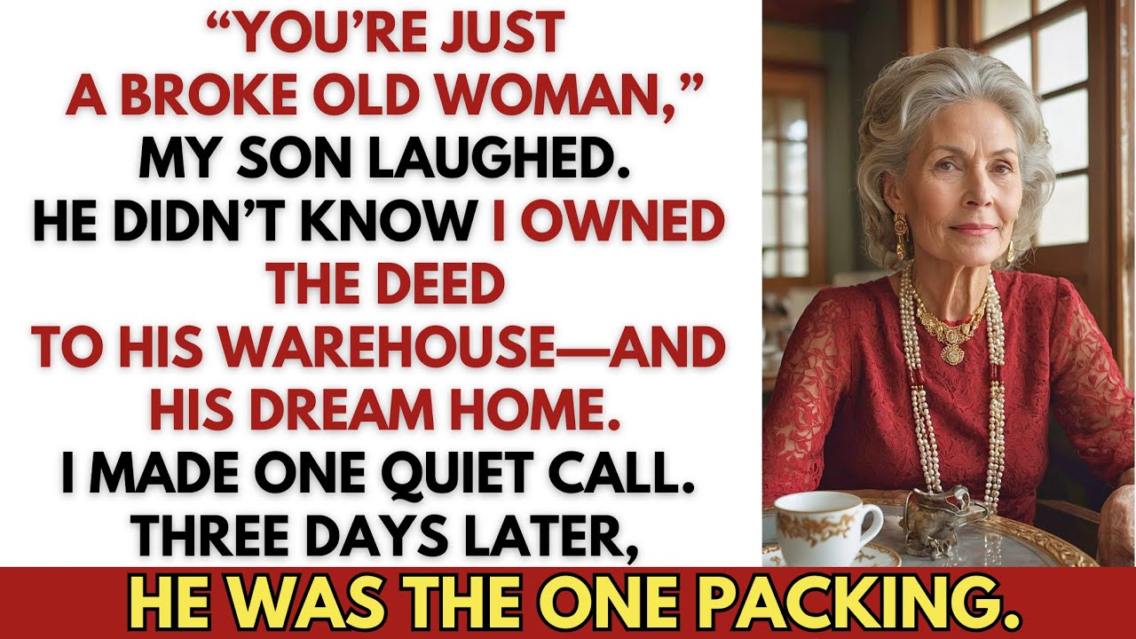 “You’re Just a Broke Old Woman,” My Son Said—So I Sold His Warehouse and His ‘Dream Home’