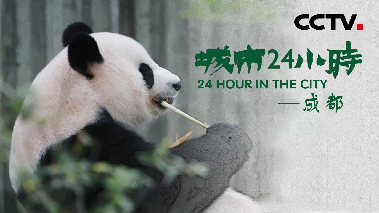 《城市24小时》 第四集 成都 | CCTV纪录