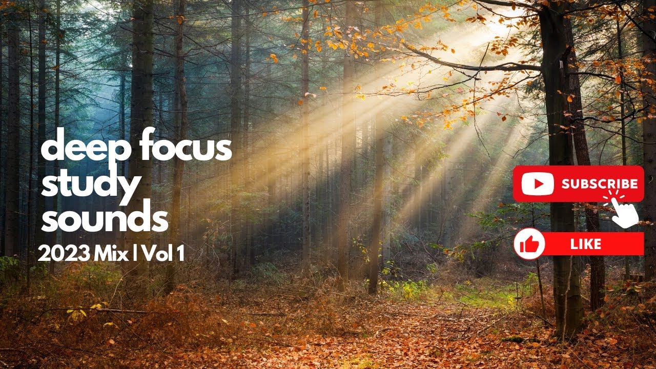 Deep Focus Study Music |  Music for anytime of the day