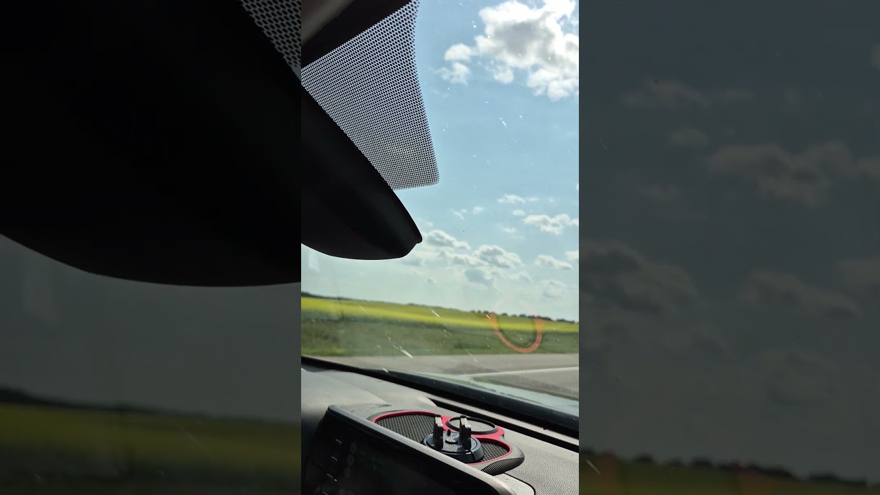 canola farming 