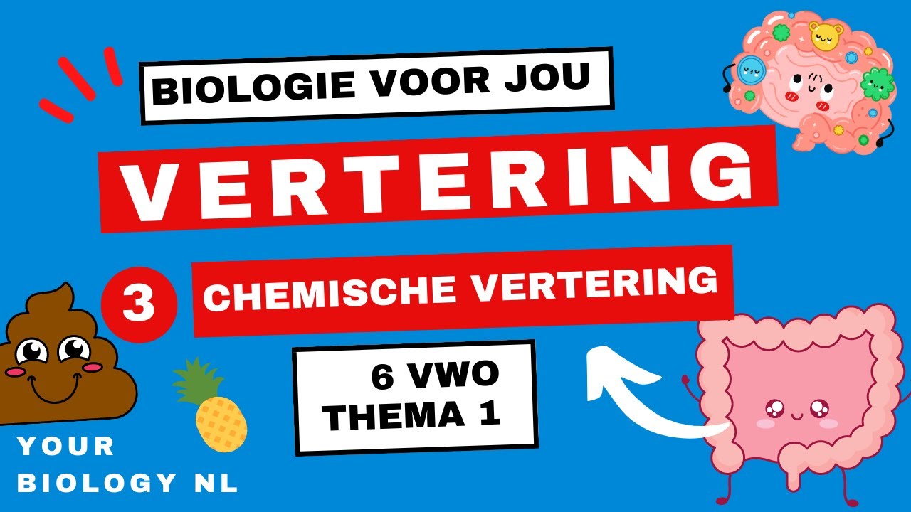6 vwo | Vertering | 3 | Chemische vertering