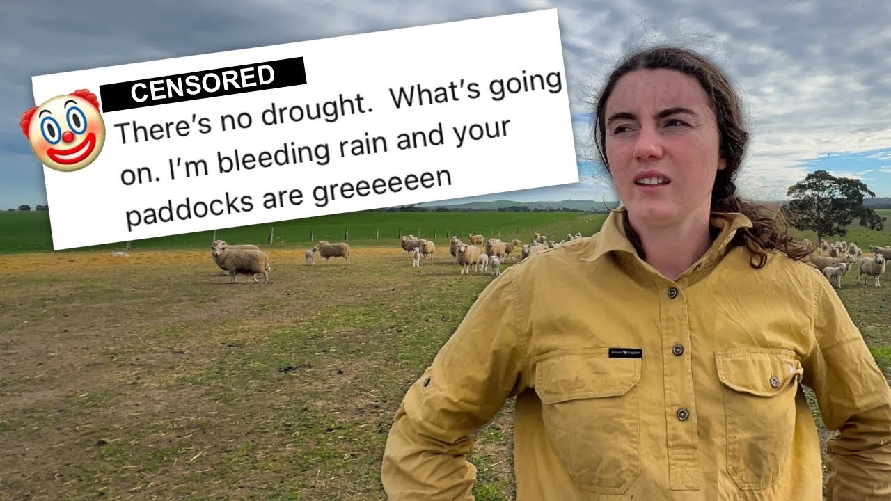 I’ll let the sheep know!
