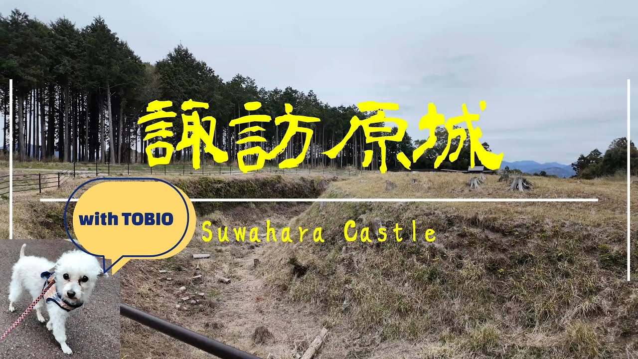 【4K】トビオとめぐる！諏訪原城：丸馬出＆三日月堀だらけの名城！武田勝頼 vs 徳川家康の激戦地！Suwahara Castle Ruins with Tobio
