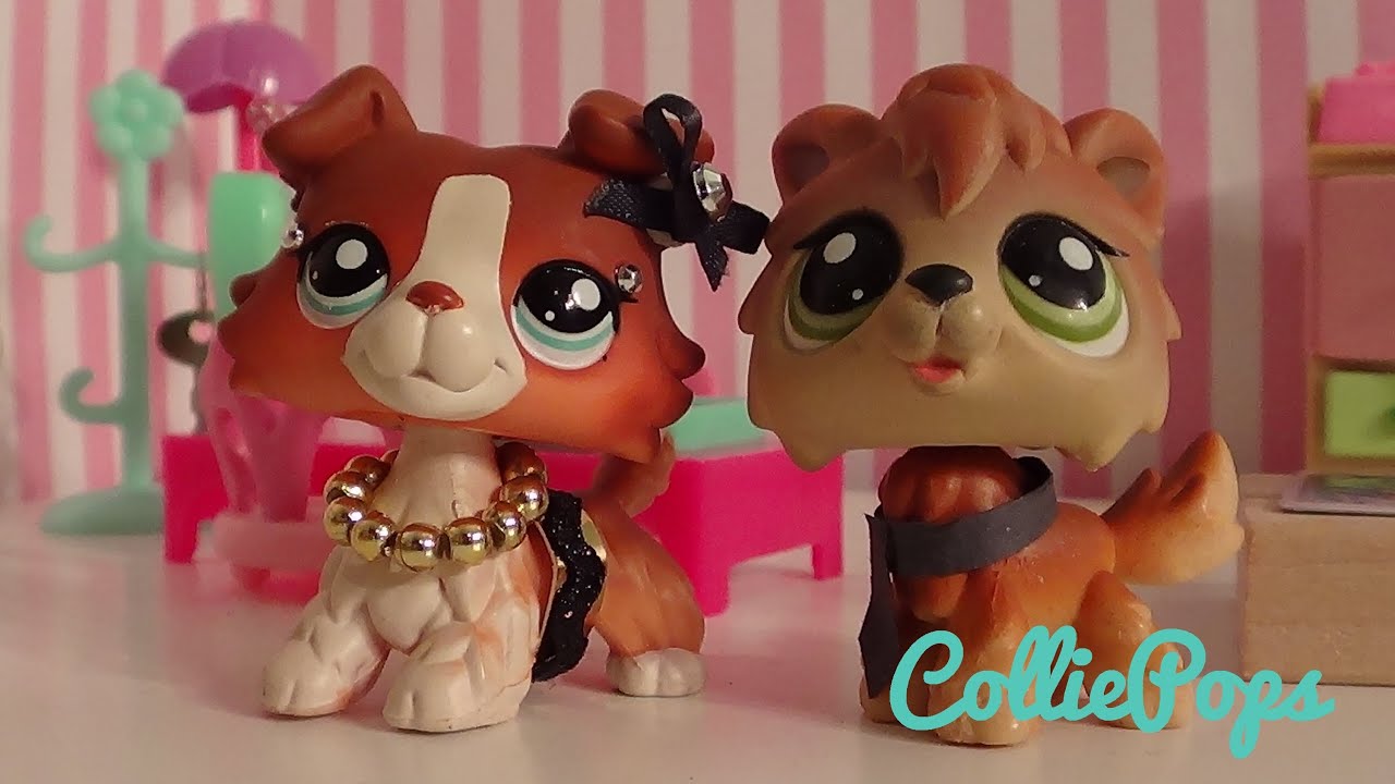 Collie Complications 6: Bad Girl Persona
