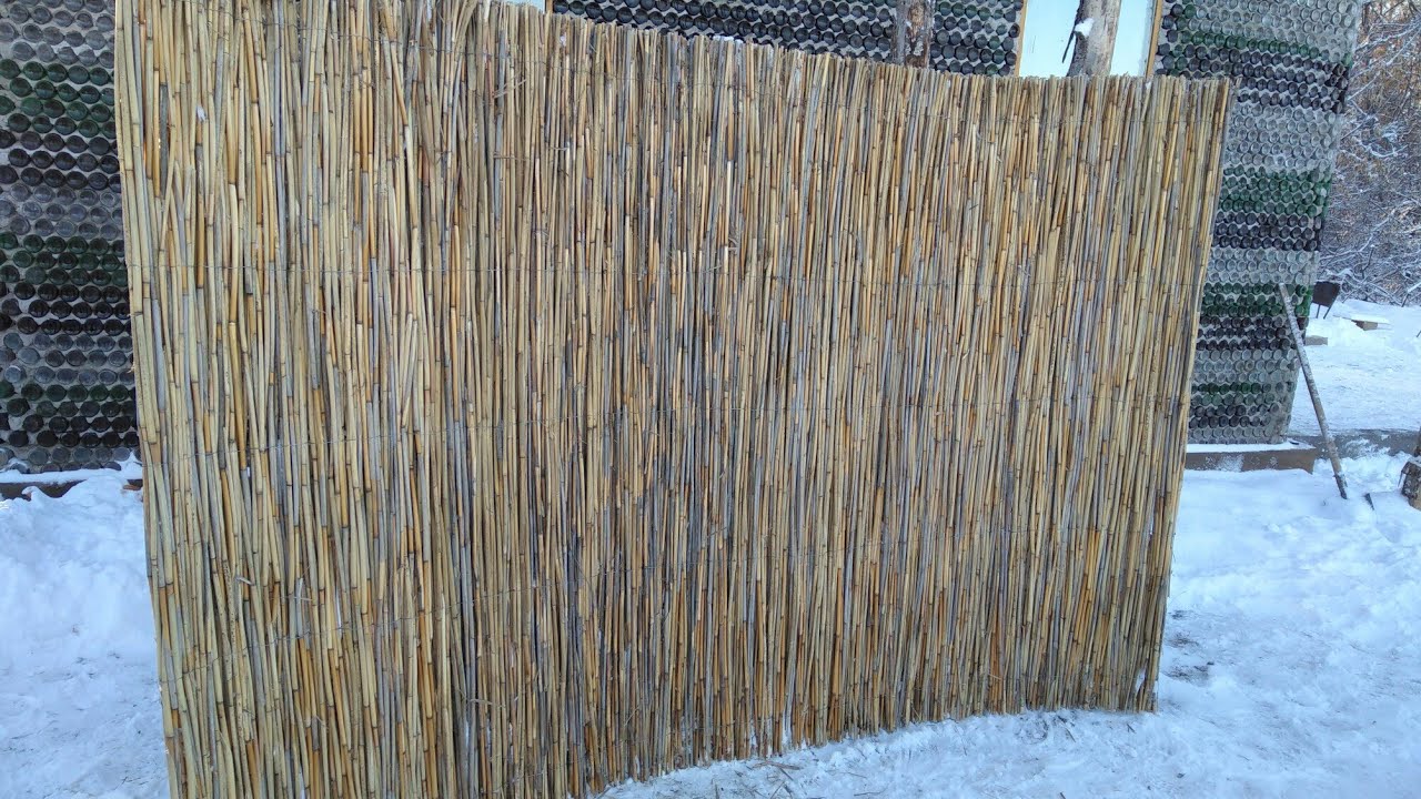 Забор из камыша