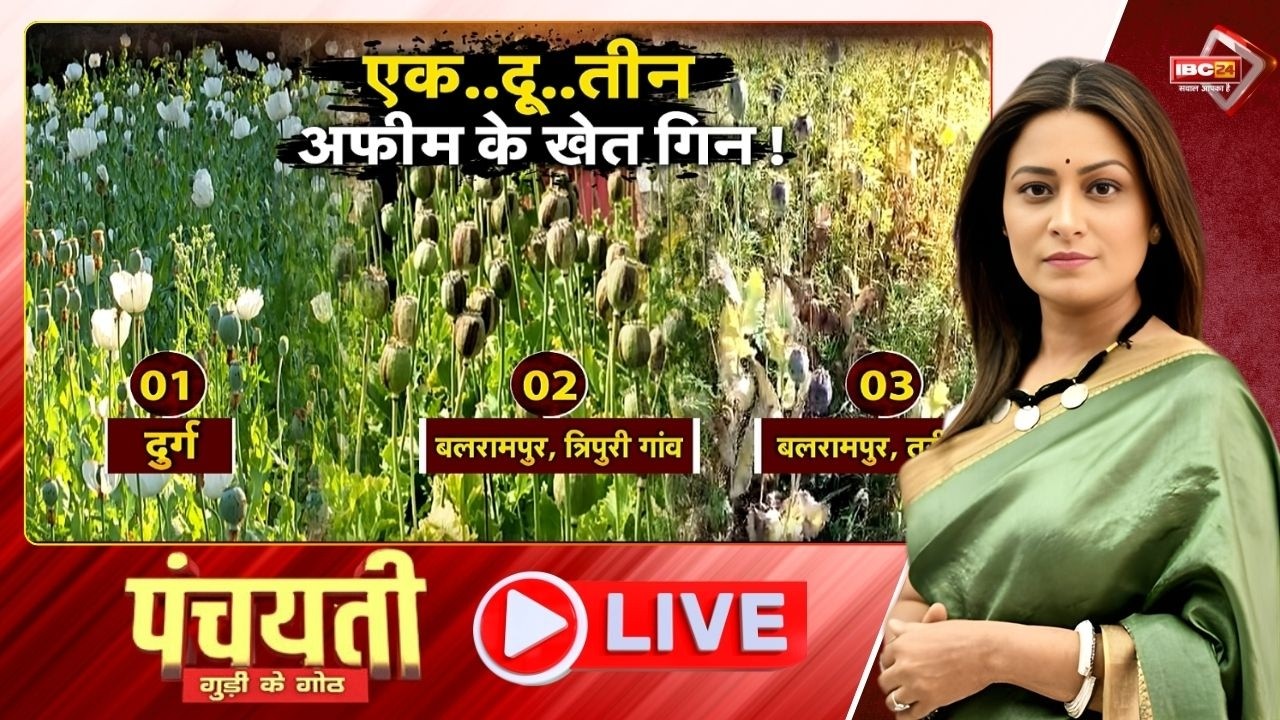 धान के कटोरा म अफीम के खेती..नसा के नेटवर्स म कोन-कोन सामिल? Durg-Balrampur Afeem Kheti | Panchayati