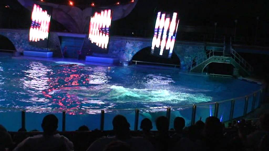 Shamu Rocks 2009