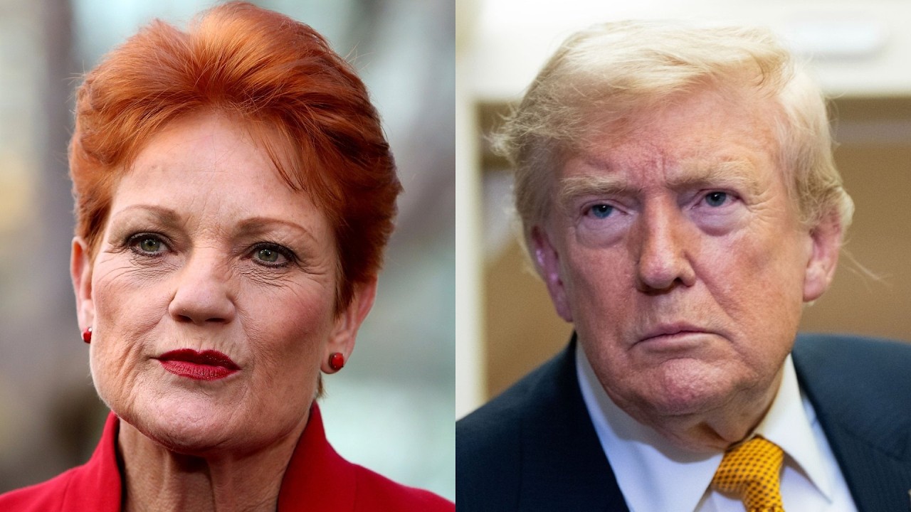 Pauline Hanson has &lsquo;Trump-style plan&rsquo; for Australia&rsquo;s illegal migrants