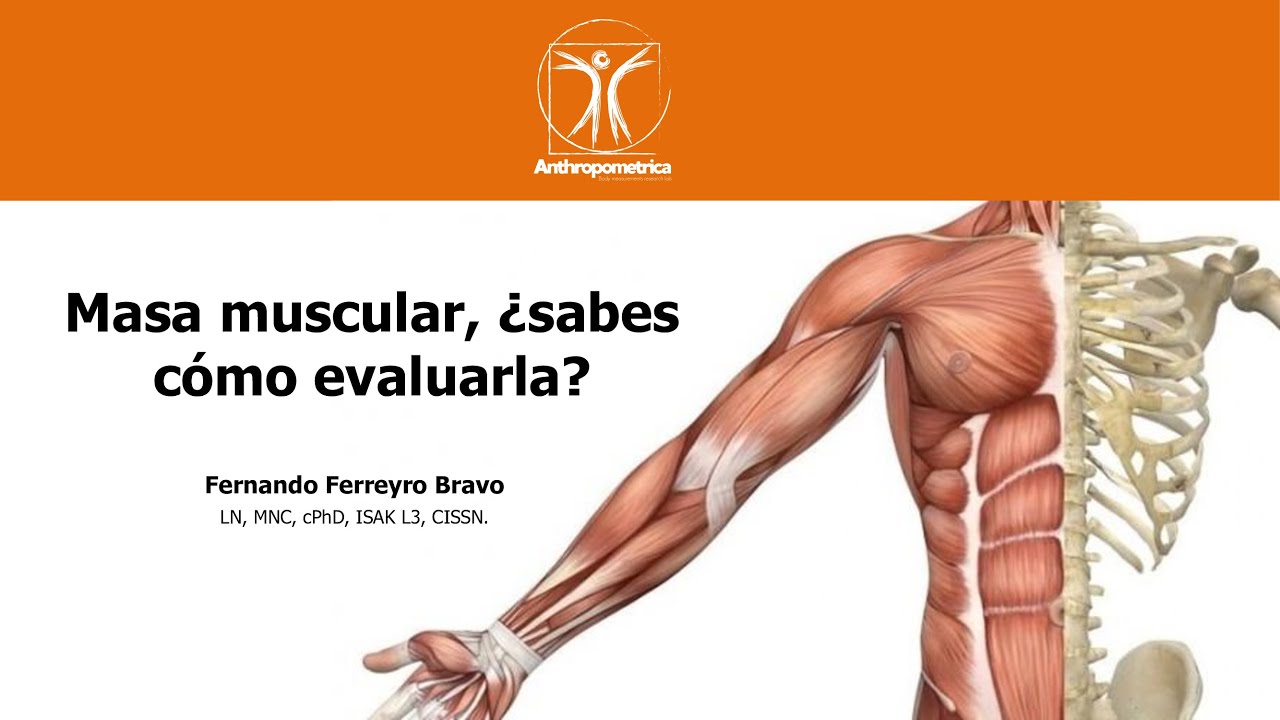 Masa Muscular ¿sabes cómo evaluarla?