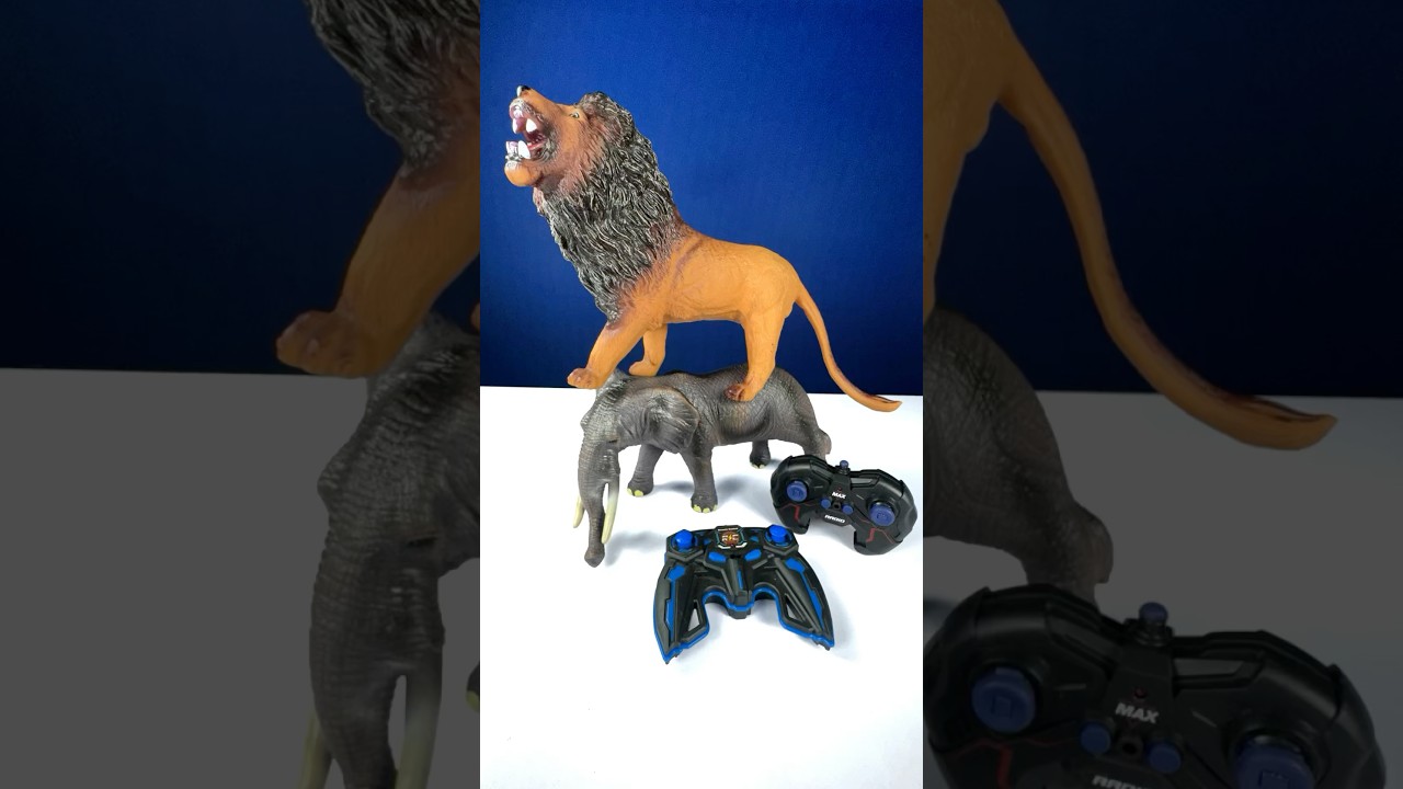 Unboxing remote control elephant and lion | fighting