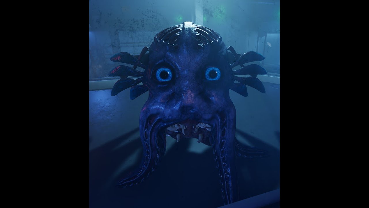 kill the Squid!!!!