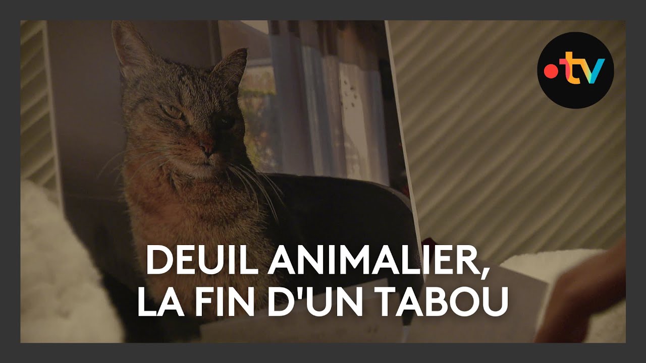 Deuil animalier, la fin d'un tabou