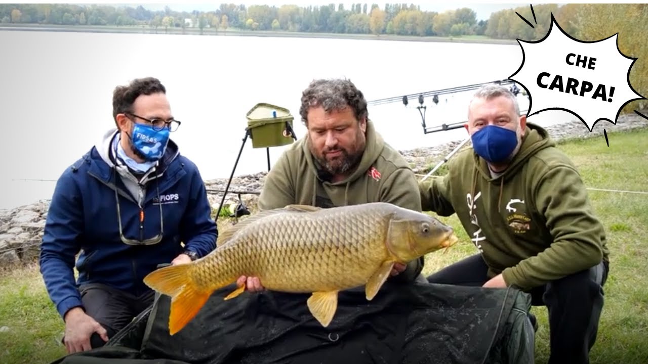 CARP FISHING E MOLTO ALTRO AL LAGO ARTIFICIALE DI PIETRAFITTA - FIOPS/FORME D'ACQUA