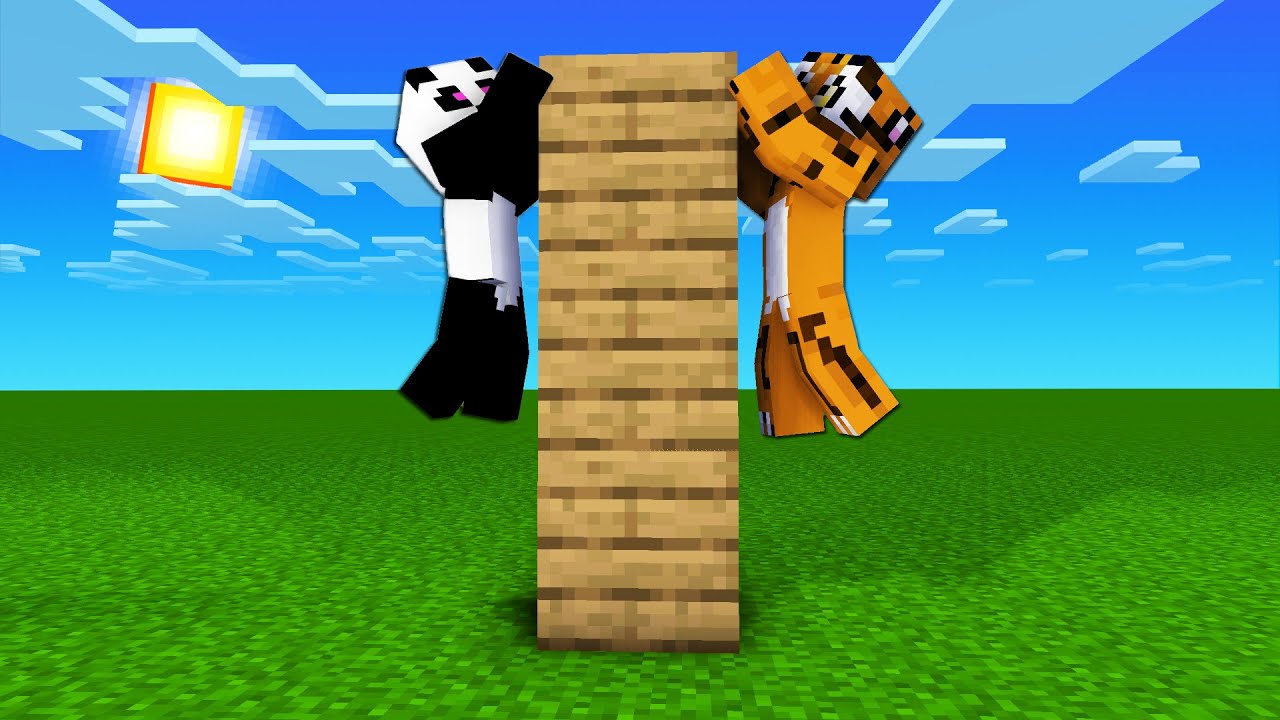 MINECRAFT, DAR NU AVEM VOIE SA ATINGEM IARBA!