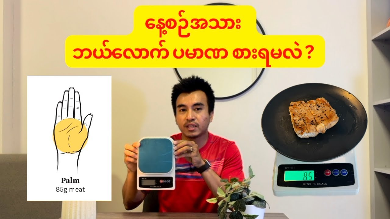 ကြွက်သား တည်​ဆောက် နေသူ​တွေ အတွက် ၊  တစ်​နေ့ Protein (အသားဓါတ်) ဘယ်လောက်စားရမလဲ? 