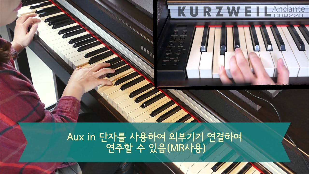 영창뮤직 디지털피아노 커즈와일 cup 220 그 외 기능들