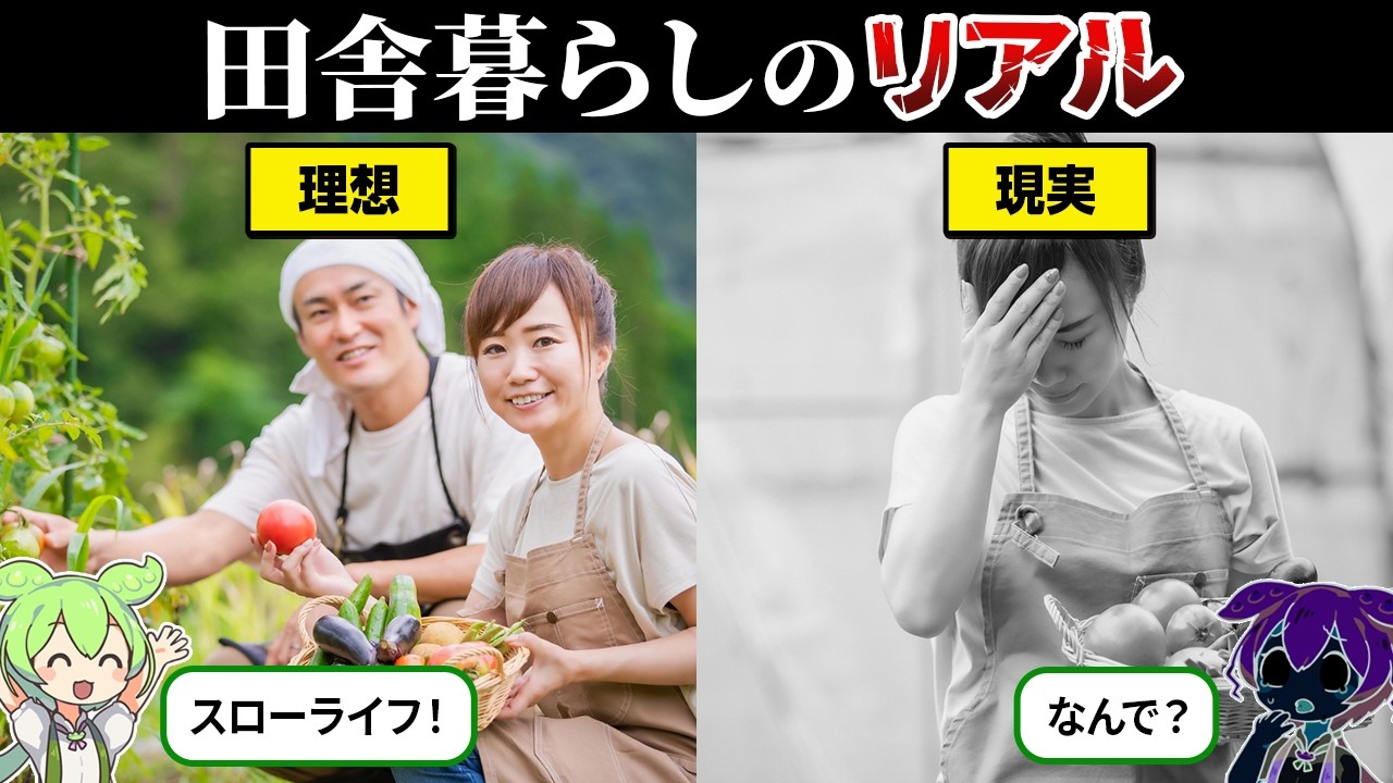 田舎が廃れていく理由が地獄すぎた…【ずんだもん&ゆっくり解説】