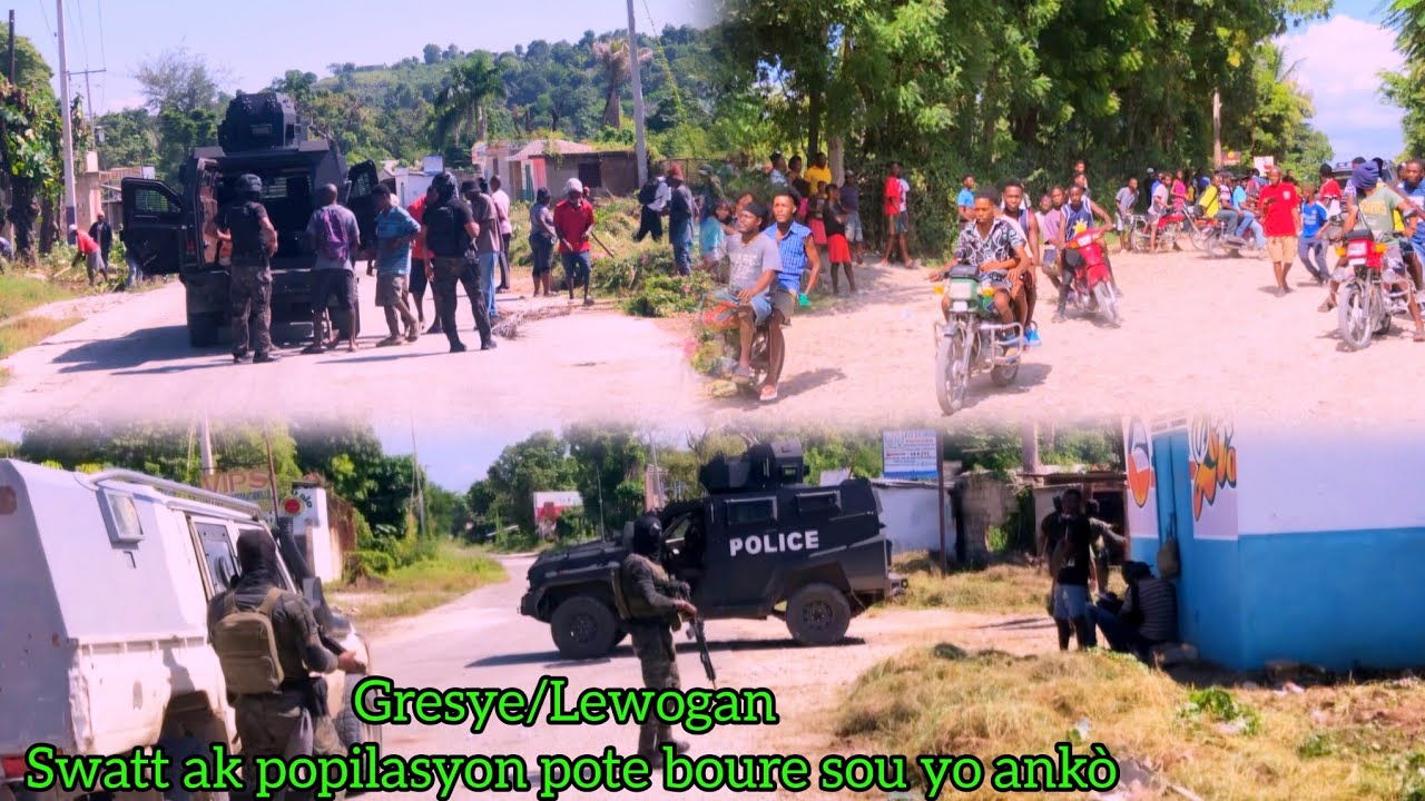 Gresye,Lewogan! Woy Swatt ak Popilasyon an pote boure sou bandi yo nan zòn bwa lasal, anpil tonbe 