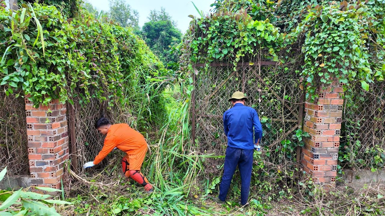 A Gate Sealed for 10 Years — What We Found Behind It Was Unbelievable