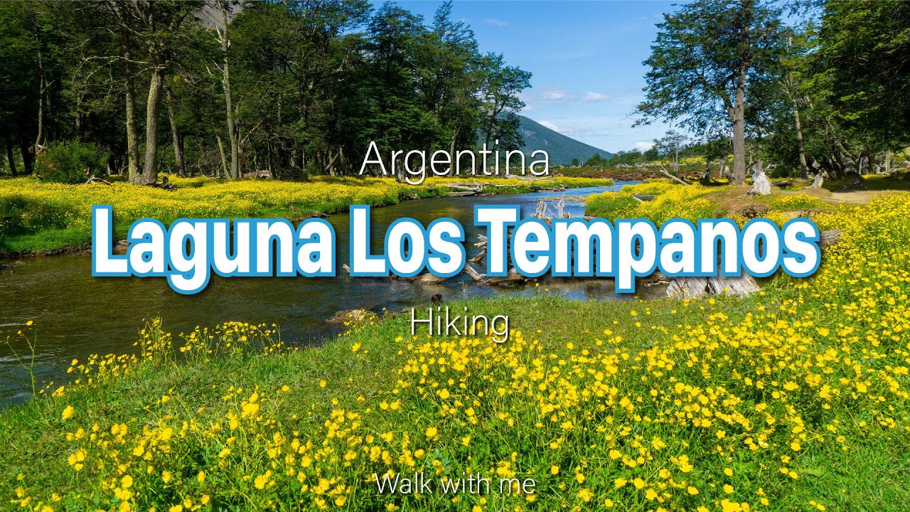 Walk with me in Ushuaia | Vinciguerra Glacier & Laguna de los Tempanos Trail Hiking in Argentina