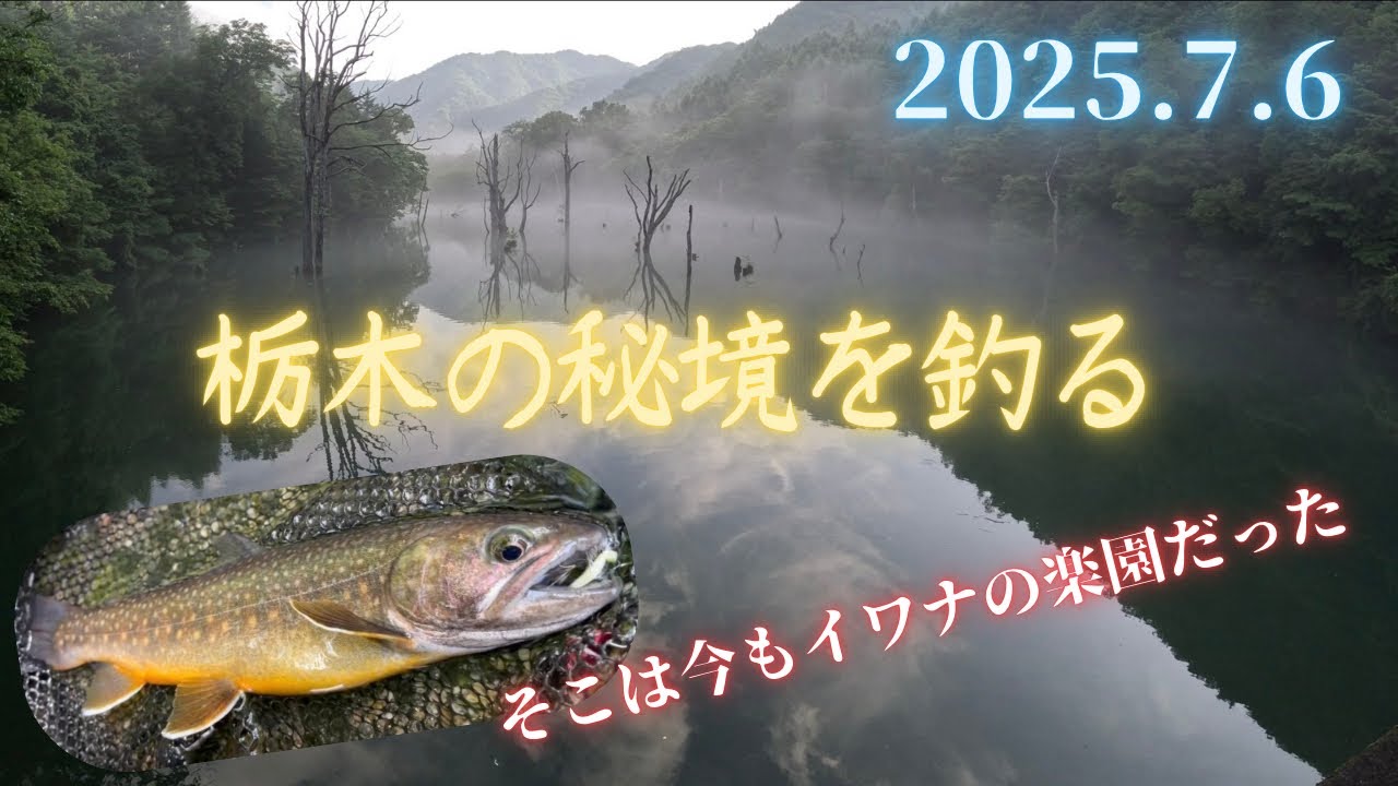 【フライフィッシング】2025栃木の山深き渓を釣る！そこは今もイワナたちの楽園だった！